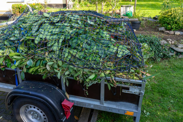 Best Yard Waste Removal  in Lewisburg, WV